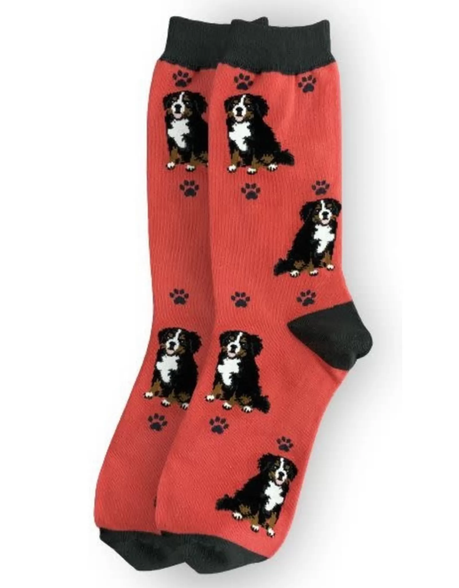 E&S Pets Socks>Full Body Bernese Mt. Dog Socks