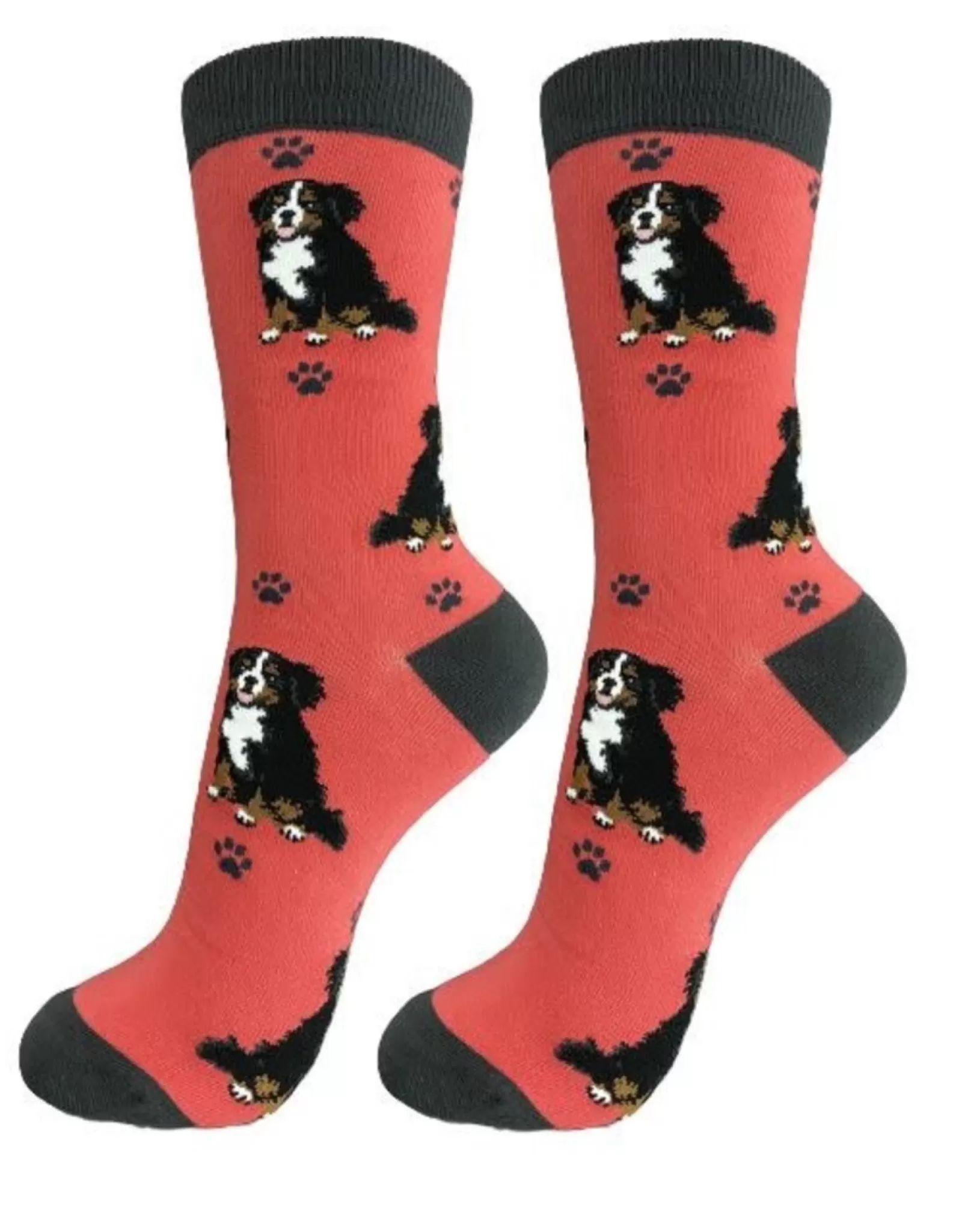 E&S Pets Socks>Full Body Bernese Mt. Dog Socks